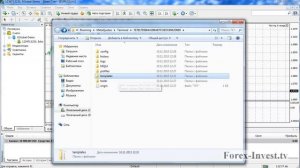 МТ4 (MetaTrader 4) - Установка и работа с терминалом