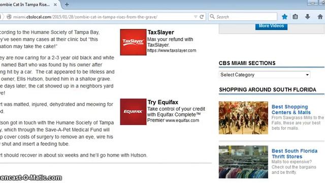 PET SEMATARY FOR REAL: "ZOMBIE CAT RISES FROM THE GRAVE" смотреть онлайн