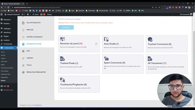 BREEZE - O novo SUBSTITUTO gratuito do WP ROCKET смотреть онлайн