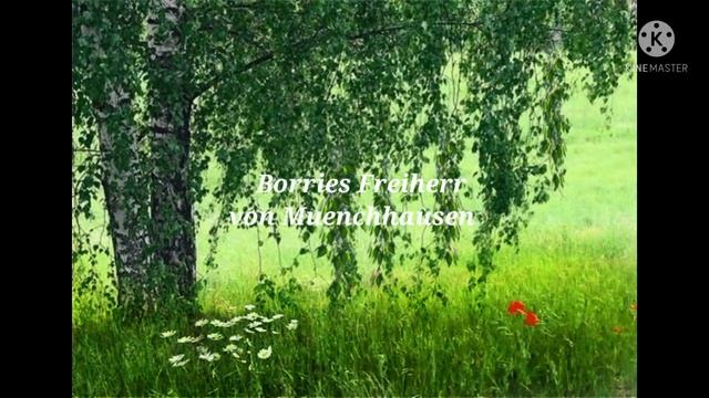 Маленькая легенда о берёзе смотреть онлайн