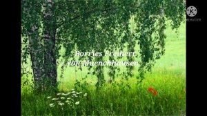 Маленькая  легенда  о берёзе