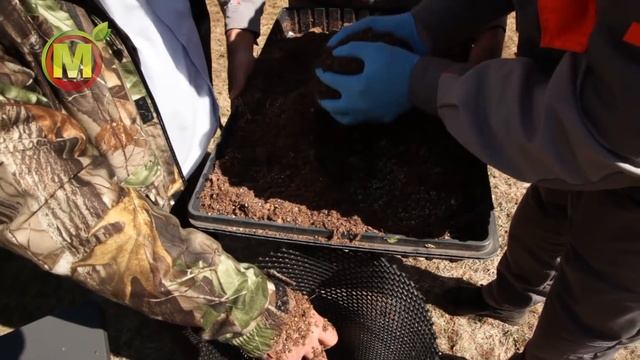 ? ТАКОЙ Цветочной Клумбы ЕЩЁ НЕ БЫЛО на вашей даче! смотреть онлайн