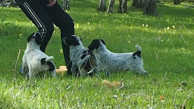 АЗИАТЫ из БАШКИРИИ.