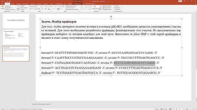 Гастрономическое Путешествие