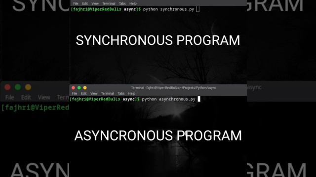 PYTHON ASYNCHRONOUS AND SYNCHRONOUS смотреть онлайн