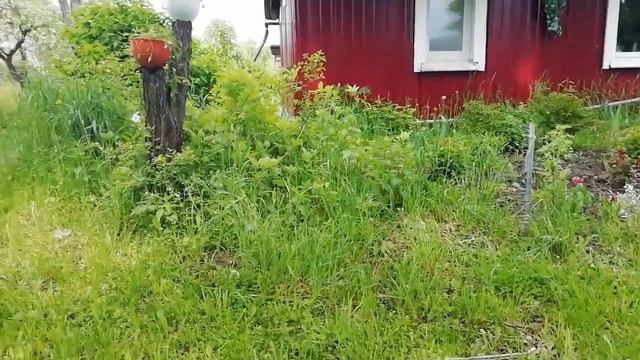 Мой супер китайский шуруповерт "EDON" !))) смотреть онлайн