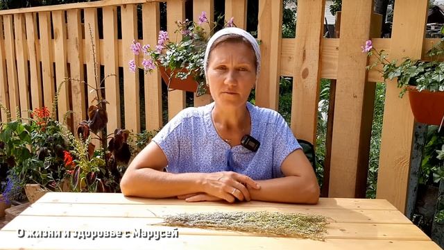 ТРАВА ЖИЗНИ ЛЕЧИТ РАК ДИАБЕТ СУДОРОГИ ГОНИТ ПАРАЗИТОВ ОТ ГРИБКОВ @natureMarusya смотреть онлайн