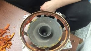 10 ГДШ-1-4Ом замена подвеса. Концертная акустика.