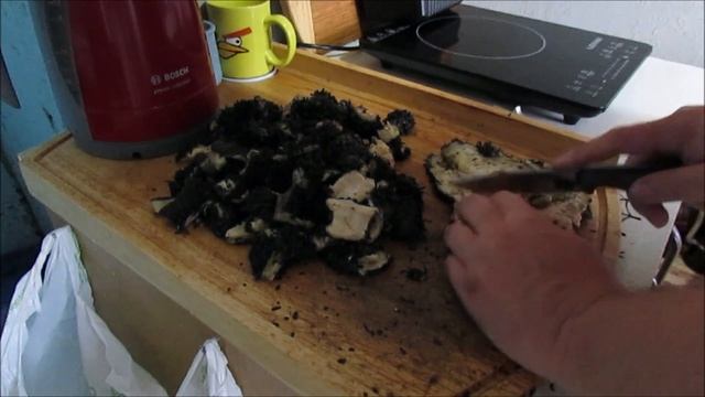 Чем мы кормим наших охотничьих собак смотреть онлайн