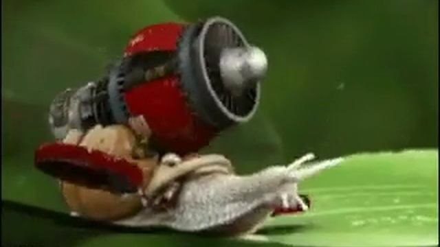 Улитка летает ????