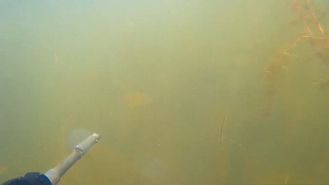 Подводная охота на пруду в Воронежской области смотреть онлайн