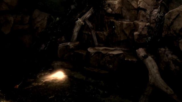 Океанариум в ТЦ РИО в Москве. смотреть онлайн