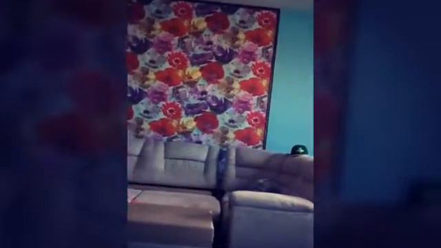 Как правильно делать сальто смотреть онлайн