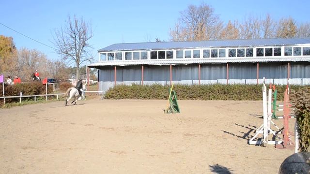 Маша и Фарик соревнования 31.10.2015 смотреть онлайн