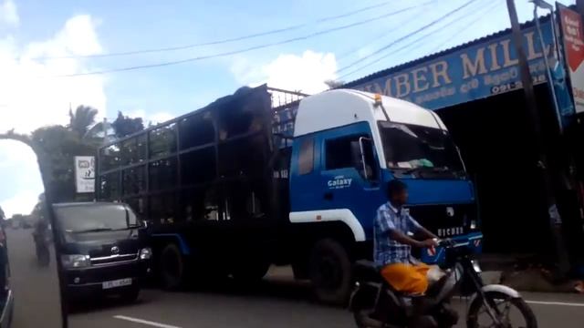 Когалла Шри ЛАНКА Отзыв слон смотреть онлайн