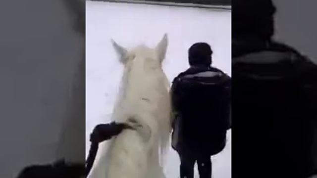 Следуй за мной. смотреть онлайн
