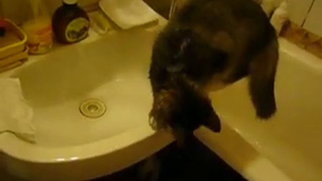 куда убегает вода? - where does the water go? смотреть онлайн