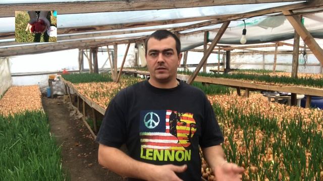 3/20ЛУК на ПЕРО. Нарезка лука. Dow On Feather.