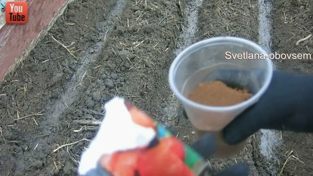 Астрономия и Космос