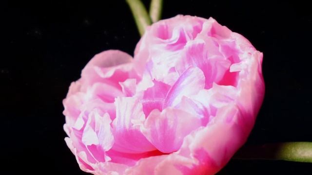 Трёхмерный Мир есть Мир "Кривых зеркал". Для многих он привычным стал. смотреть онлайн