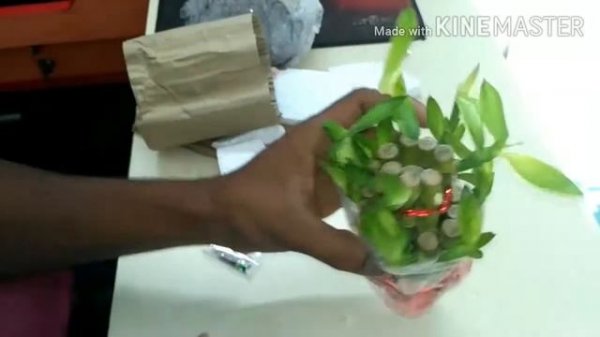 HOME DECOR.... PLANT #HOME WALL SOCES DECOR #LUCKY BOMBO #TREE