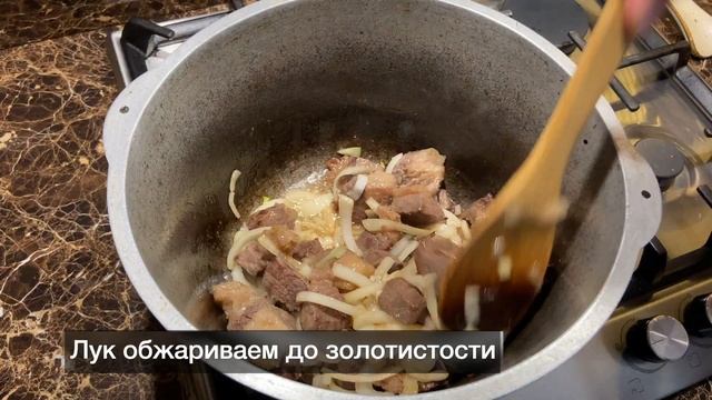 Животные в Зоопарках