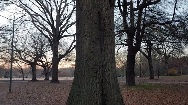 Серые белки Атланты смотреть онлайн