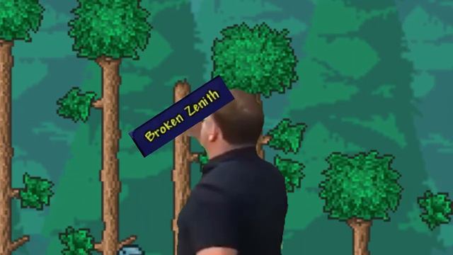 The Goblin Tinkerer in a nutshell (Terraria meme) смотреть онлайн