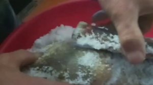 ВЯЛИМ ГУСЯ//Весь процесс, от начала до конца//