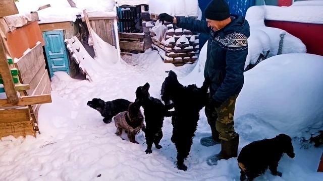 Из Сибири на юг. смотреть онлайн