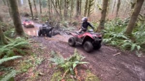 2019 Kawasaki brute force 300 mudding