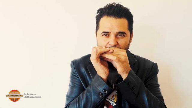 Seydel Session Standard - La Bottega Dell'Armonica