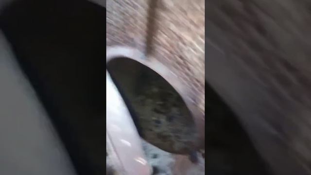 Как сделать буржуйку, печку из газового баллона смотреть онлайн