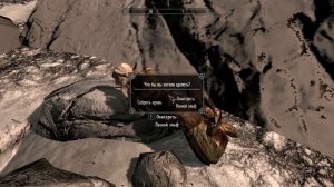 The Elder Scrolls V: Skyrim. Где найти лесного, высокого и темного эльфов. Прохождение от SAFa