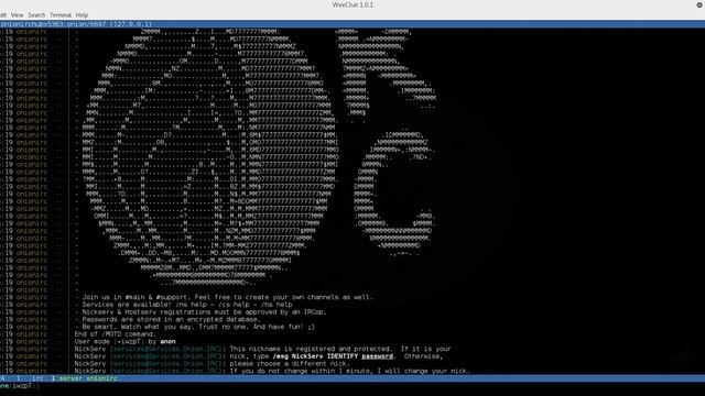 Connect to Onion IRC with docker смотреть онлайн