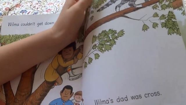 A Cat In The Tree / Oxford Reading Tree / Level 3