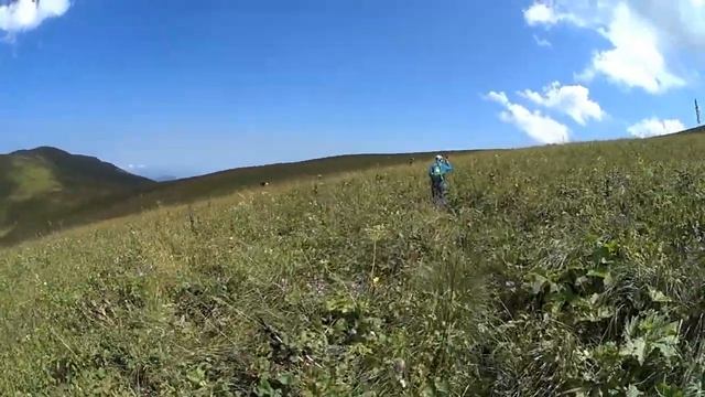 Поход по охранной тропе Кавказского заповедника смотреть онлайн