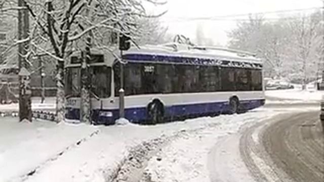 В Кишинёве троллейбус врезался в дерево смотреть онлайн