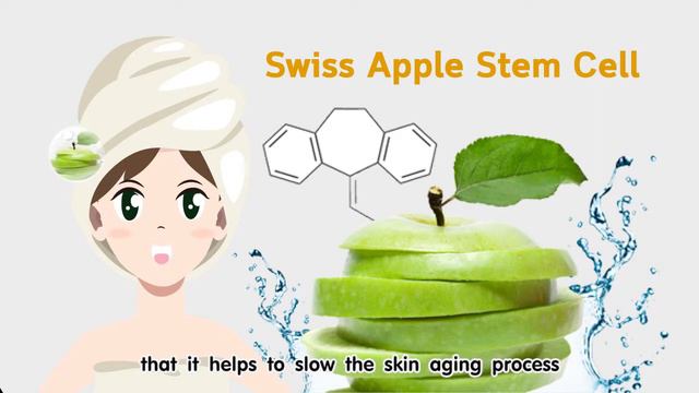 camelia soap from natureandleisure смотреть онлайн