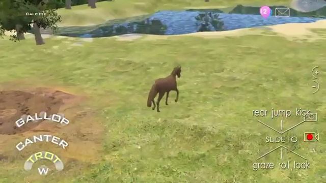 How to Use the Wash Bay Paddock | Jumpy Horse Breeding смотреть онлайн