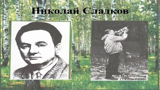 "Природа - мы твои друзья" - виртуальная книжная выставка смотреть онлайн