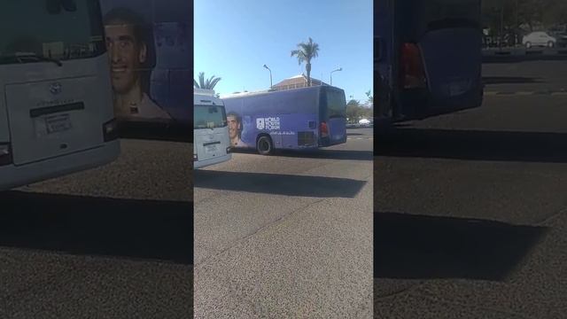 Какие бывают цветы.В пустыне. смотреть онлайн