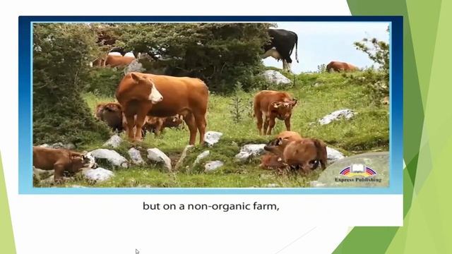 1 Discussing the differences between organic and non=organic food 10 grade смотреть онлайн