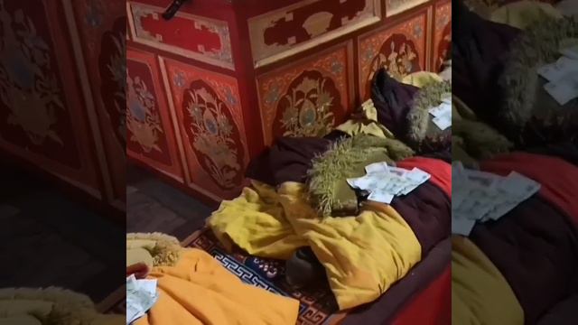 Скальный храм Юнчжэн(Юнин/yòuníng), Цинхай, Китай, 2021г. смотреть онлайн