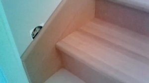 Плюсы и минусы: ступени из двадцатки, подступенки мдф
