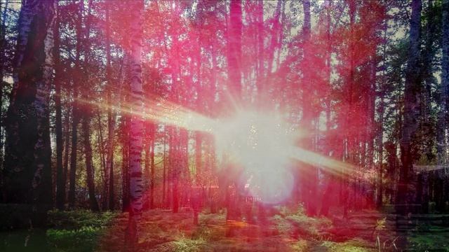 Словесная броня.