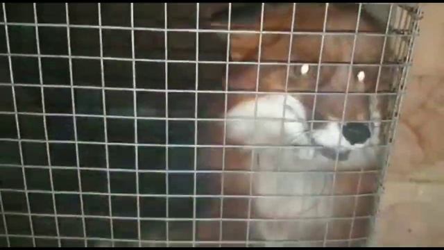 Поздравления с Днём рождения Захарию от друзей и родственников! очень трогательно... смотреть онлайн