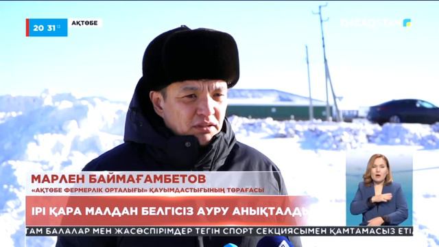 Ақтөбе облысының Әйтеке би ауданында ірі қара малдан белгісіз ауру шықты смотреть онлайн