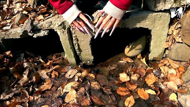 LONG NAILS ? Stream In The Forest
