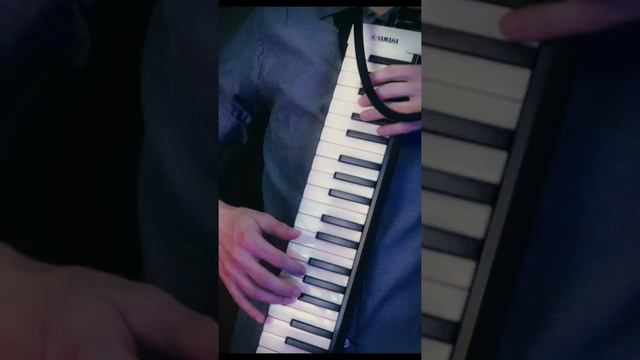 Carinhoso - Lançamento Yamaha Pianica P-37E смотреть онлайн
